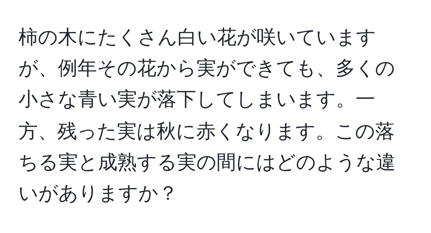 柿の木にたくさん白い花が咲いていますが、例年その花から実ができても、多くの小さな青い実が落下してしまいます。一方、残った実は秋に赤くなります。この落ちる実と成熟する実の間にはどのような違いがありますか？