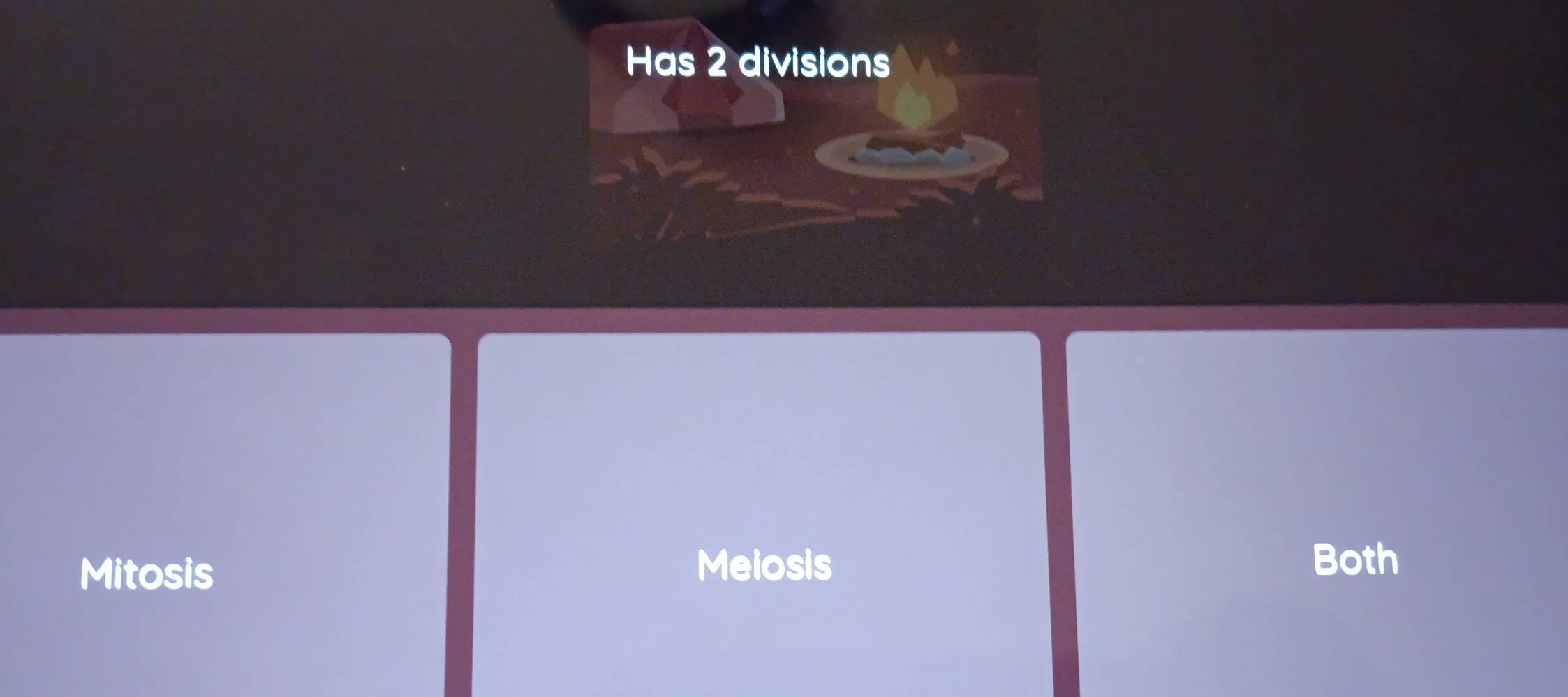 Has 2 divisions
Mitosis
Meiosis Both