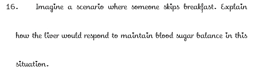 Imagine a scenario where someone skips breakfast. Explain 
how the liver would respond to maintain blood sugar balance in this 
situation.