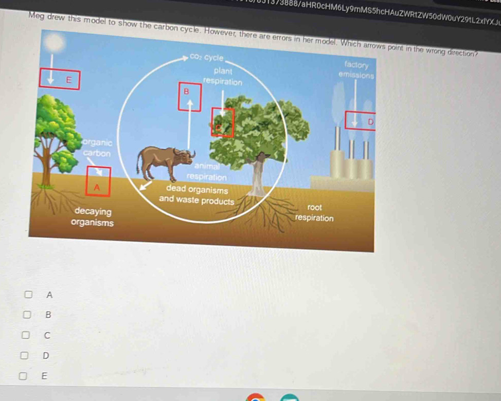 00J1373888/aHR0cHM6Ly9mMS5hcHAuZWRtZW50dW0uY29tL2xlYXJt
Meg drew this model to show the carbon cyin the wrong direction?
A
B
C
D
E