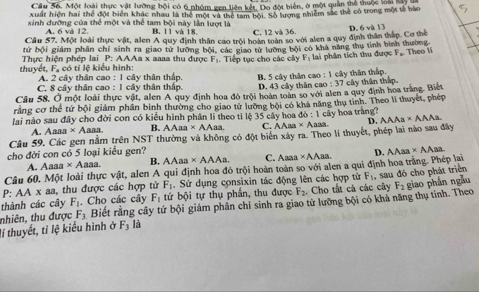 Một loài thực vật lưỡng bội có 6 nhóm gen liên kết. Do đột biển, ở một quân thể thuộc loài hay đn
xuất hiện hai thể đột biển khác nhau là thể một và thể tam bội. Số lượng nhiêm sắc thể có trong một tế bào
sinh dưỡng của thể một và thể tam bội này lần lượt là
A. 6 và 12 B. 11 và 18. C. 12 và 36.
Cầu 57. Một loài thực vật, alen A quy định thân cao trội hoàn toàn số với alen a quy định thân thắp. Cơ thể D. 6 và 13
tứ bội giảm phân chỉ sinh ra giao tử lưỡng bội, các giao tử lưỡng bội có khả năng thụ tinh bình thường.
Thực hiện phép lai P: AAAa x aaaa thu được F_1. Tiếp tục cho các cây F_1 lai phân tích thu được F_a Theo lí
thuyết, F_a có tỉ lệ kiểu hình:
A. 2 cây thân cao : 1 cây thân thấp.
B. 5 cây thân cao : 1 cây thân thấp.
C. 8 cây thân cao : 1 cây thân thấp. D. 43 cây thân cao :37 cây thân thắp.
Câu 58. Ở một loài thực vật, alen A quy định hoa đỏ trội hoàn toàn so với alen a quy định hoa trắng. Biết
rằng cơ thể tứ bội giảm phân bình thường cho giao tử lưỡng bội có khả năng thụ tinh. Theo lí thuyết, phép
lai nào sau đây cho đời con có kiểu hình phân li theo tỉ lệ 35 cây hoa đỏ : 1 cây hoa trăng? AAAa* AAAa.
A. Aaaa × Aaaa. B. AAaa × AAaa. C. AAaa × Aaaa. D.
Câu 59. Các gen nằm trên NST thường và không có đột biến xảy ra. Theo lí thuyết, phép lai nào sau đây
cho đời con có 5 loại kiểu gen? AAa C. Aaaa ×AAaa.
A. Aaaa * A a  . B. AAaa * A D. AAaa × AAaa.
Câu 60. Một loài thực vật, alen A qui định hoa đỏ trội hoàn toàn so với alen a qui định hoa trắng. Phép lai
F_2 giao phần ngẫu
P: AA x aa, thu được các hợp tử F_1. Sử dụng consixin tác động lên các hợp tử F_1
thành các cây F_1. Cho các cây F_1 tứ bội tự thụ phần, thu được F_2. Cho tất cả các cây , sau đó cho phát triển
tnhiên, thu được F_3 Biết rằng cây tứ bội giảm phần chỉ sinh ra giao tử lưỡng bội có khả năng thụ tinh. Theo
lí thuyết, tỉ lệ kiểu hình ở F_3 là