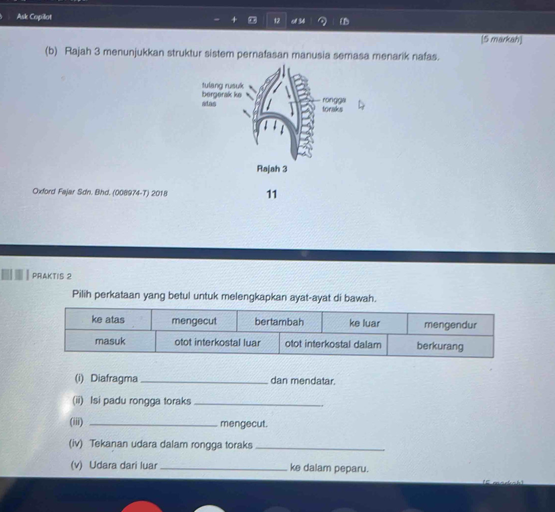 Ask Copilot 
12 A 34
[5 markah] 
(b) Rajah 3 menunjukkan struktur sistem pernafasan manusia semasa menarik nafas. 
Oxford Fajar Sdn. Bhd. (008974-T) 2018 
11 
PRAKTIS 2 
Pilih perkataan yang betul untuk melengkapkan ayat-ayat di bawah. 
(i) Diafragma _dan mendatar. 
(ii) Isi padu rongga toraks_ 
(iii) _mengecut. 
(iv) Tekanan udara dalam rongga toraks_ 
(v) Udara dari luar _ke dalam peparu.