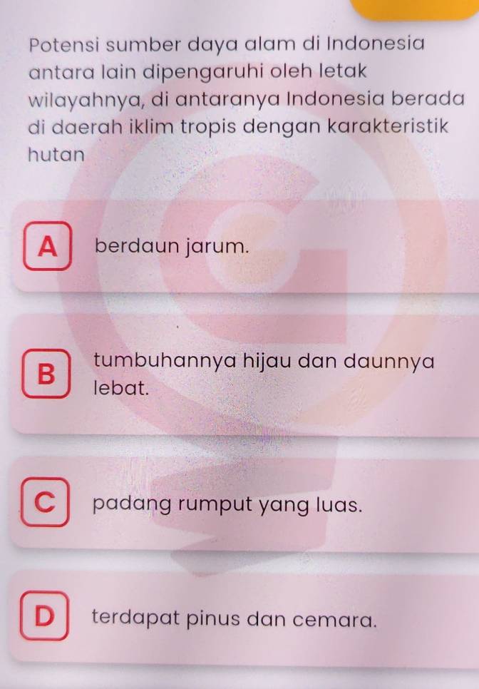 Potensi sumber daya alam di Indonesia
antara lain dipengaruhi oleh letak
wilayahnya, di antaranya Indonesia berada
di daerah iklim tropis dengan karakteristik
hutan
A berdaun jarum.
B tumbuhannya hijau dan daunnya
lebat.
C padang rumput yang luas.
Dterdapat pinus dan cemara.