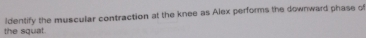 ldentify the muscular contraction at the knee as Alex performs the downward phase of 
the squat.