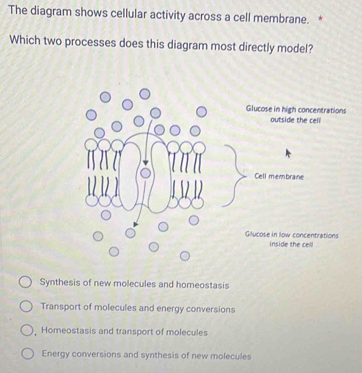 The diagram shows cellular activity across a cell membrane. *
Which two processes does this diagram most directly model?
Glucose in high concentrations
outside the cell
Cell membrane
Glucose in low concentrations
inside the cell
Synthesis of new molecules and homeostasis
Transport of molecules and energy conversions
Homeostasis and transport of molecules
Energy conversions and synthesis of new molecules