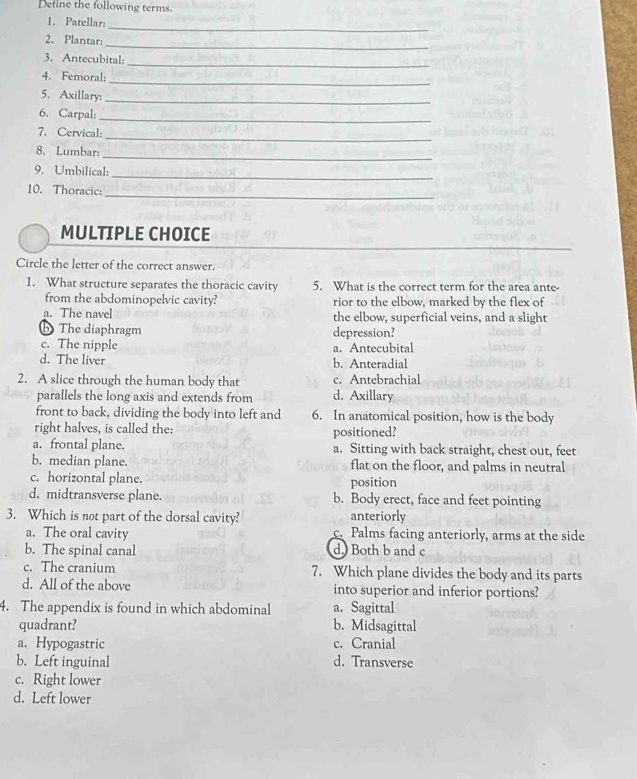 Define the following terms.
1. Patellar:
_
_
2. Plantar:
3. Antecubital:_
_
4. Femoral:
5. Axillary:_
6. Carpal:_
_
7. Cervical:
_
8. Lumbar:
_
9. Umbilical:
_
10. Thoracic:
_
MULTIPLE CHOICE
Circle the letter of the correct answer.
1. What structure separates the thoracic cavity 5. What is the correct term for the area ante-
from the abdominopelvic cavity? rior to the elbow, marked by the flex of
a. The navel the elbow, superficial veins, and a slight
b The diaphragm depression?
c. The nipple a. Antecubital
d. The liver b. Anteradial
2. A slice through the human body that c. Antebrachial
parallels the long axis and extends from d. Axillary
front to back, dividing the body into left and 6. In anatomical position, how is the body
right halves, is called the:
positioned?
a. frontal plane. a. Sitting with back straight, chest out, feet
b. median plane. flat on the floor, and palms in neutral
c. horizontal plane. position
d. midtransverse plane. b. Body erect, face and feet pointing
3. Which is not part of the dorsal cavity? anteriorly
a. The oral cavity c. Palms facing anteriorly, arms at the side
b. The spinal canal d. Both b and c
c. The cranium 7. Which plane divides the body and its parts
d. All of the above into superior and inferior portions?
4. The appendix is found in which abdominal a. Sagittal
quadrant? b. Midsagittal
a. Hypogastric c. Cranial
b. Left inguinal d. Transverse
c. Right lower
d. Left lower