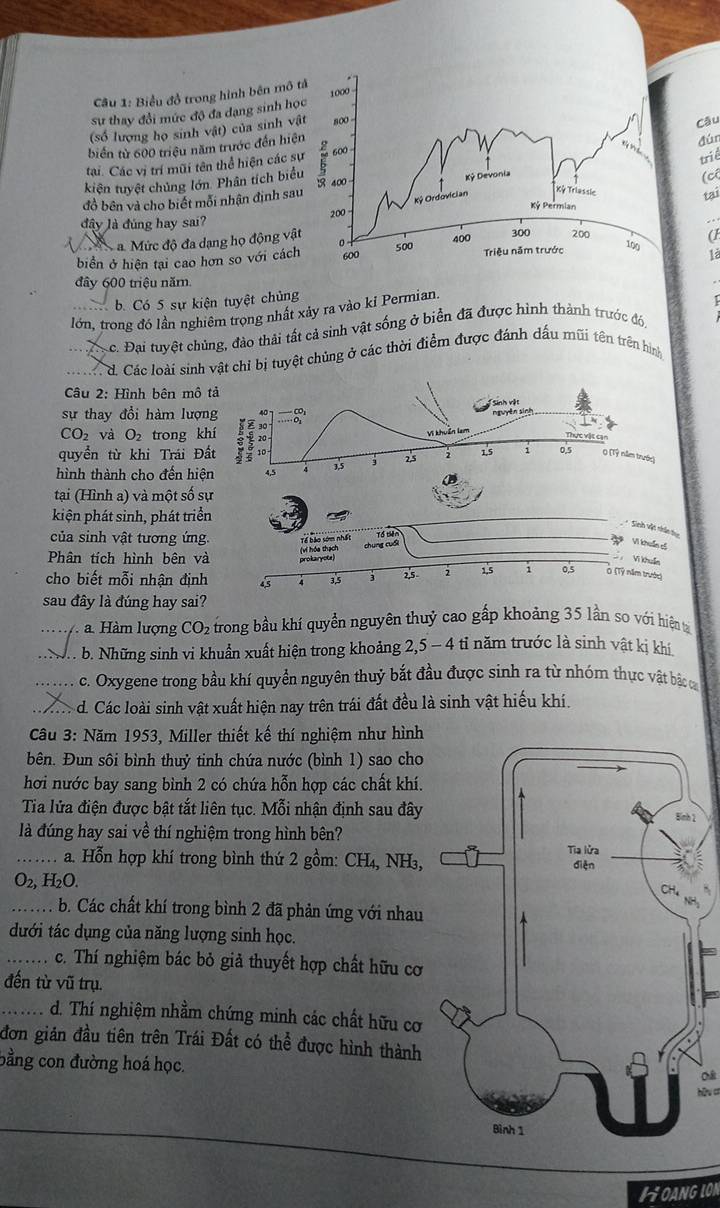 Biểu đồ trong hình bên mô
sự thay đổi mức độ đa dạng sinh h
(số lượng họ sinh vật) của sinh v
Câu
biển từ 600 triệu năm trước đến hiệ
đún
tại. Các vị trí mũi tên thể hiện các 
kiện tuyệt chủng lớn. Phân tích biể
triể
(c
đồ bên và cho biết mỗi nhận định sa
tai
đây là đúng hay sai?
a. Mức độ đa dạng họ động vậ
a
biển ở hiện tại cao hơn so với các
là
đây 600 triệu năm
b. Có 5 sự kiện tuyệt chủng
lớn, trong đó lần nghiêm trọng nhất xảy ra vào ki Permian
c. Đai tưyệt chủng, đào thải tất cả sinh vật sống ở biển đã được hình thành trước đó,
d. Các loài sinh vật chỉ bị tuyệt chủng ở các thời điểm được đánh dấu mũi tên trên hình
Câu 2: Hình bên mô
sự thay đổi hàm lượ
CO_2 và O_2 trong 
quyển từ khi Trái Đ
hình thành cho đến hi
tại (Hình a) và một số s
kiện phát sinh, phát triể
của sinh vật tương ứng
Phân tích hình bên và
cho biết mỗi nhận định
sau đây là đúng hay sai?
_ a. Hàm lượng CO_2 trong bầu khí quyền nguyên thuỷ cao gấp khoảng 35 lần so với hiện tạ
_. b. Những sinh vi khuẩn xuất hiện trong khoảng 2,5 - 4 tỉ năm trước là sinh vật kị khí
_c. Oxygene trong bầu khí quyền nguyên thuỷ bắt đầu được sinh ra từ nhóm thực vật bắc c
_d. Các loài sinh vật xuất hiện nay trên trái đất đều là sinh vật hiếu khí.
Cầu 3: Năm 1953, Miller thiết kế thí nghiệm như hình
bên. Đun sôi bình thuỷ tinh chứa nước (bình 1) sao cho
hơi nước bay sang bình 2 có chứa hỗn hợp các chất khí.
Tia lửa điện được bật tắt liên tục. Mỗi nhận định sau đây
là đúng hay sai về thí nghiệm trong hình bên?
_a. Hỗn hợp khí trong bình thứ 2 gồm: CH₄, NH₃,
O_2, H_2C ) 8
,
_b. Các chất khí trong bình 2 đã phản ứng với nhau
dưới tác dụng của năng lượng sinh học.
_c. Thí nghiệm bác bỏ giả thuyết hợp chất hữu cơ
đến từ vũ trụ.
_d. Thí nghiệm nhằm chứng minh các chất hữu cơ
đơn giản đầu tiên trên Trái Đất có thể được hình thành
bằng con đường hoá học.
Chât
hữu cơ
HOANG LON