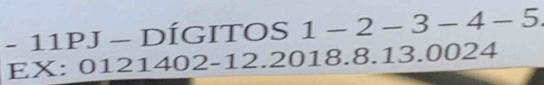 11PJ - DÍGITOS 1 - 2 - 3 - 4 - 5. 
EX: 0121402 -12.2018.8. 13.0024
