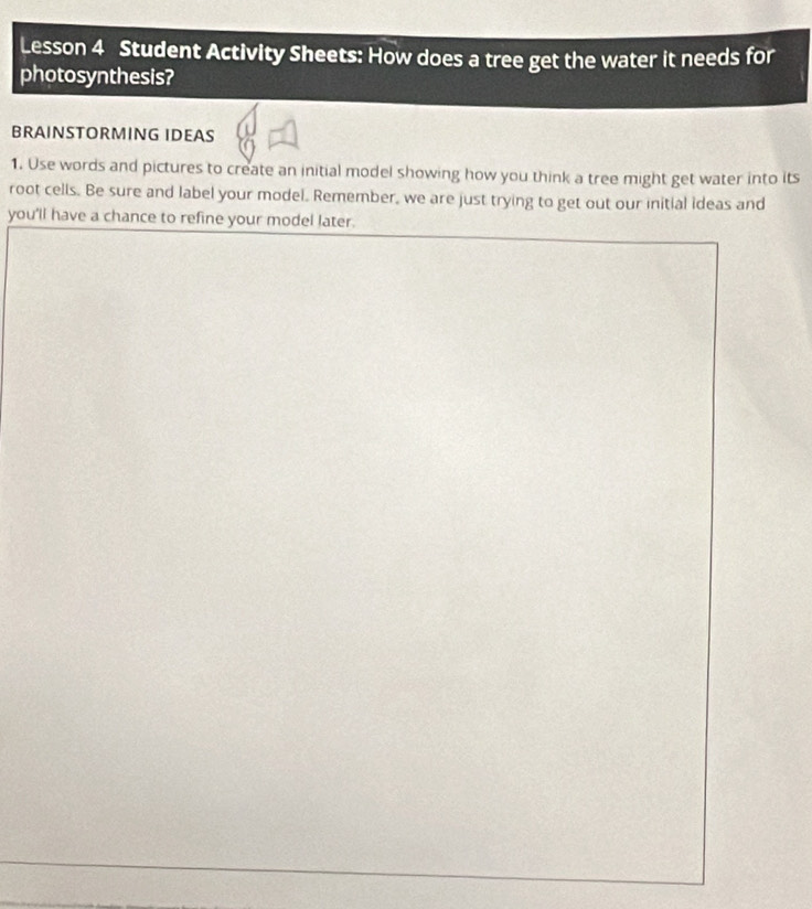 Lesson 4 Student Activity Sheets: How does a tree get the water it needs for 
photosynthesis? 
BRAINSTORMING IDEAS 
1. Use words and pictures to create an initial model showing how you think a tree might get water into its 
root cells. Be sure and label your model. Remember, we are just trying to get out our initial ideas and 
you'll have a chance to refine your model later.