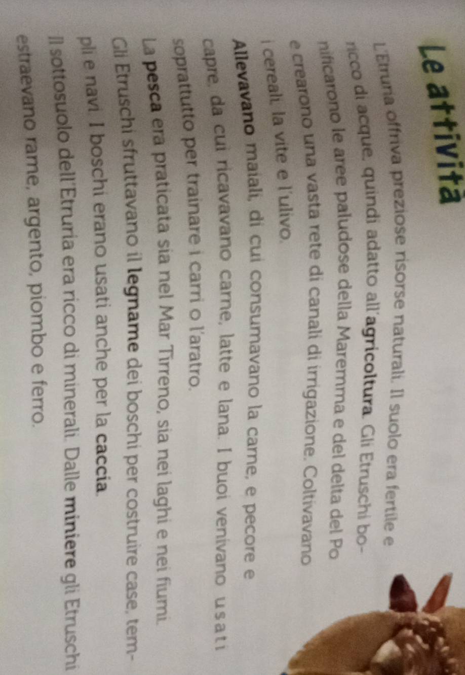 Le attività 
L'Etruria offriva preziose risorse naturali. Il suolo era fertile e 
ricco di acque, quindi adatto all’agricoltura. Gli Etruschi bo- 
nificarono le aree paludose della Maremma e del delta del Po 
e crearono una vasta rete di canali di irrigazione. Coltivavano 
i cereali, la vite e l'ulivo. 
Allevavano maiali, di cui consumavano la carne, e pecore e 
capre, da cui ricavavano carne, latte e lana. I buoi venivano usati 
soprattutto per trainare i carri o l'aratro. 
La pesca era praticata sia nel Mar Tirreno, sia nei laghi e nei fiumi. 
Gli Etruschi sfruttavano il legname dei boschi per costruire case, tem- 
pli e navi, I boschi erano usati anche per la caccia 
Il sottosuolo dell´Étruria era ricco di minerali. Dalle miniere gli Etruschi 
estraevano rame, argento, piombo e ferro.