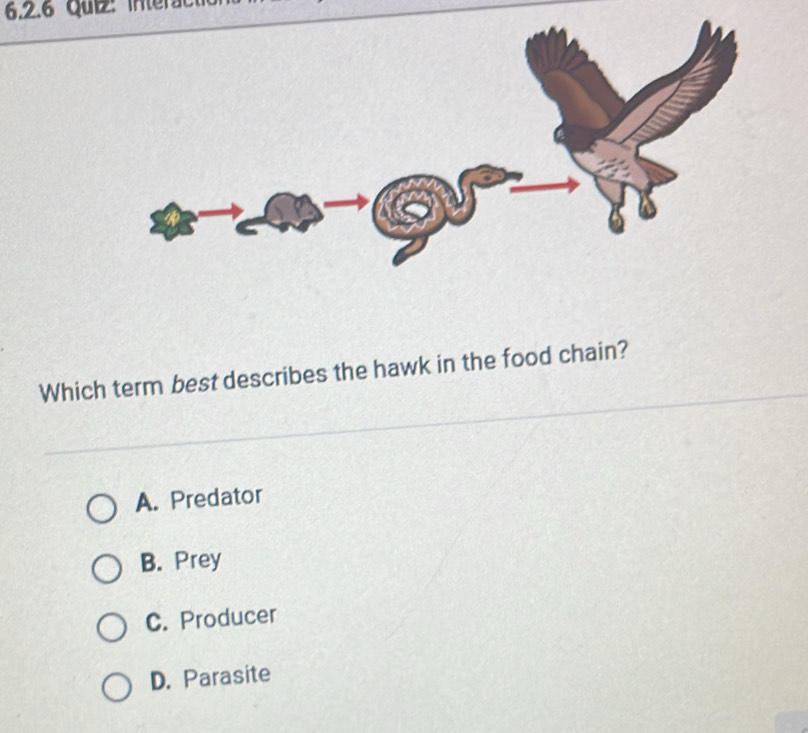 Interac
Which term best describes the hawk in the food chain?
A. Predator
B. Prey
C. Producer
D. Parasite