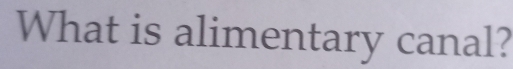 What is alimentary canal?
