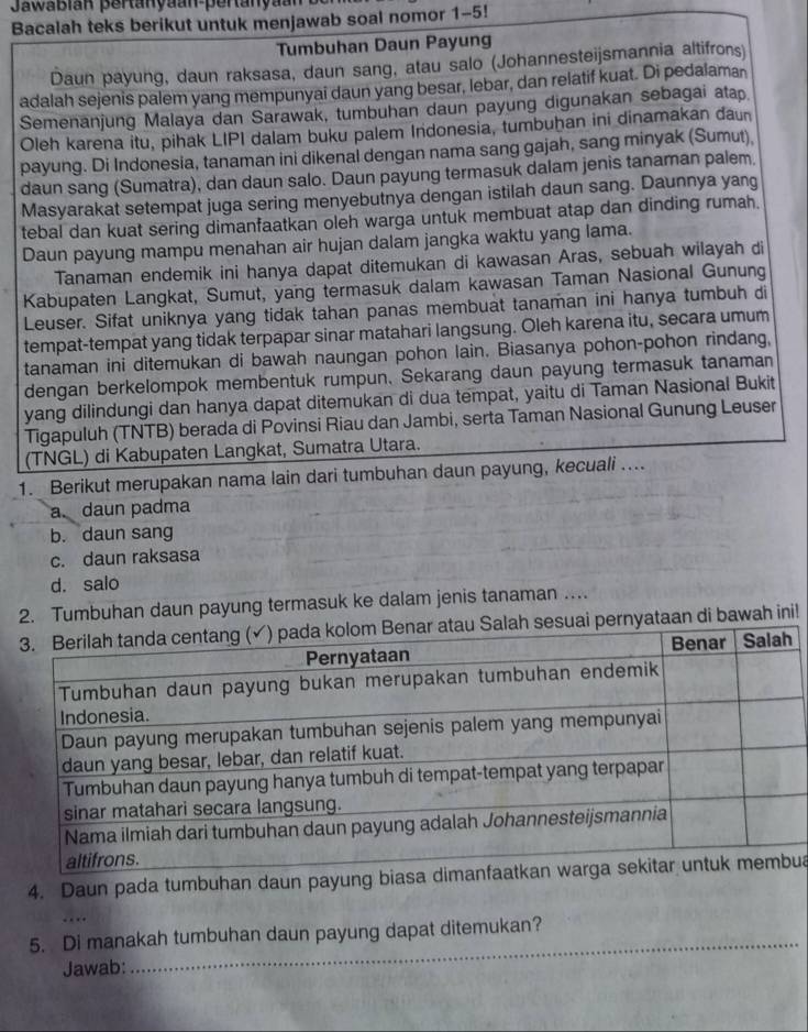 Jawabian pertanyaan-pertanyaan 
Bacalah teks berikut untuk menjawab soal nomor 1-5!
Tumbuhan Daun Payung
Daun payung, daun raksasa, daun sang, atau salo (Johannesteijsmannia altifrons)
adalah sejenis palem yang mempunyai daun yang besar, lebar, dan relatif kuat. Di pedalaman
Semenanjung Malaya dan Sarawak, tumbuhan daun payung digunakan sebagai atap
Oleh karena itu, pihak LIPI dalam buku palem Indonesia, tumbuḥan ini dinamakan dan
payung. Di Indonesia, tanaman ini dikenal dengan nama sang gajah, sang minyak (Sumut),
daun sang (Sumatra), dan daun salo. Daun payung termasuk dalam jenis tanaman palem,
Masyarakat setempat juga sering menyebutnya dengan istilah daun sang. Daunnya yang
tebal dan kuat sering dimanfaatkan oleh warga untuk membuat atap dan dinding rumah.
Daun payung mampu menahan air hujan dalam jangka waktu yang lama.
Tanaman endemik ini hanya dapat ditemukan di kawasan Aras, sebuah wilayah di
Kabupaten Langkat, Sumut, yang termasuk dalam kawasan Taman Nasional Gunung
Leuser. Sifat uniknya yang tidak tahan panas membuat tanaman ini hanya tumbuh di
tempat-tempat yang tidak terpapar sinar matahari langsung. Oleh karena itu, secara umum
tanaman ini ditemukan di bawah naungan pohon lain. Biasanya pohon-pohon rindang,
dengan berkelompok membentuk rumpun. Sekarang daun payung termasuk tanaman
yang dilindungi dan hanya dapat ditemukan di dua tempat, yaitu di Taman Nasional Bukit
Tigapuluh (TNTB) berada di Povinsi Riau dan Jambi, serta Taman Nasional Gunung Leuser
(TNGL) di Kabupaten Langkat, Sumatra Utara.
1. Berikut merupakan nama lain dari tumbuhan daun payung, kecuali ....
a. daun padma
b. daun sang
c. daun raksasa
d. salo
2. Tumbuhan daun payung termasuk ke dalam jenis tanaman …
esuai pernyataan di bawah ini!.
4. Daun pada tumbuhan daun payung biasa dimanfua
_
_
5. Di manakah tumbuhan daun payung dapat ditemukan?
Jawab: