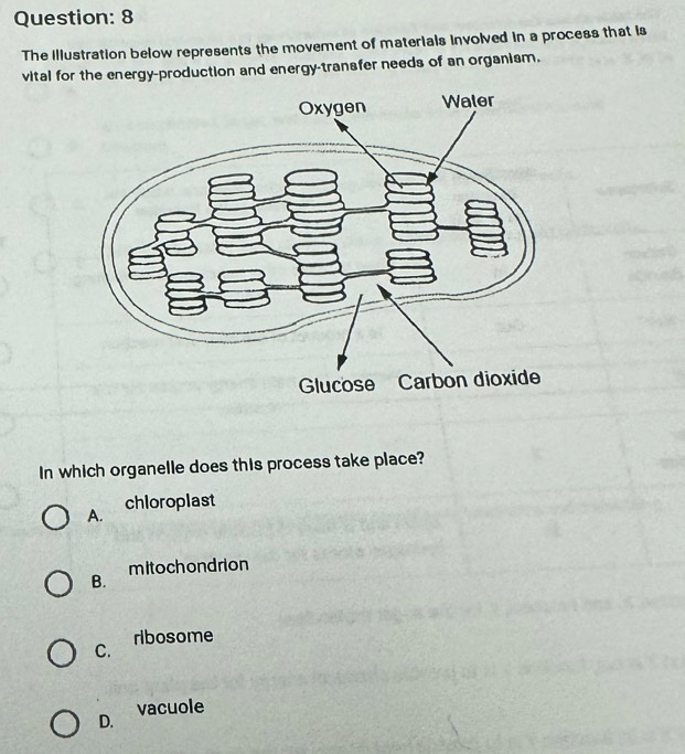 The illustration below represents the movement of materials involved in a process that is
vital for the energy-production and energy-transfer needs of an organism.
In which organelle does this process take place?
A. chloroplast
B. mitochondrion
ribosome
C.
D. vacuole