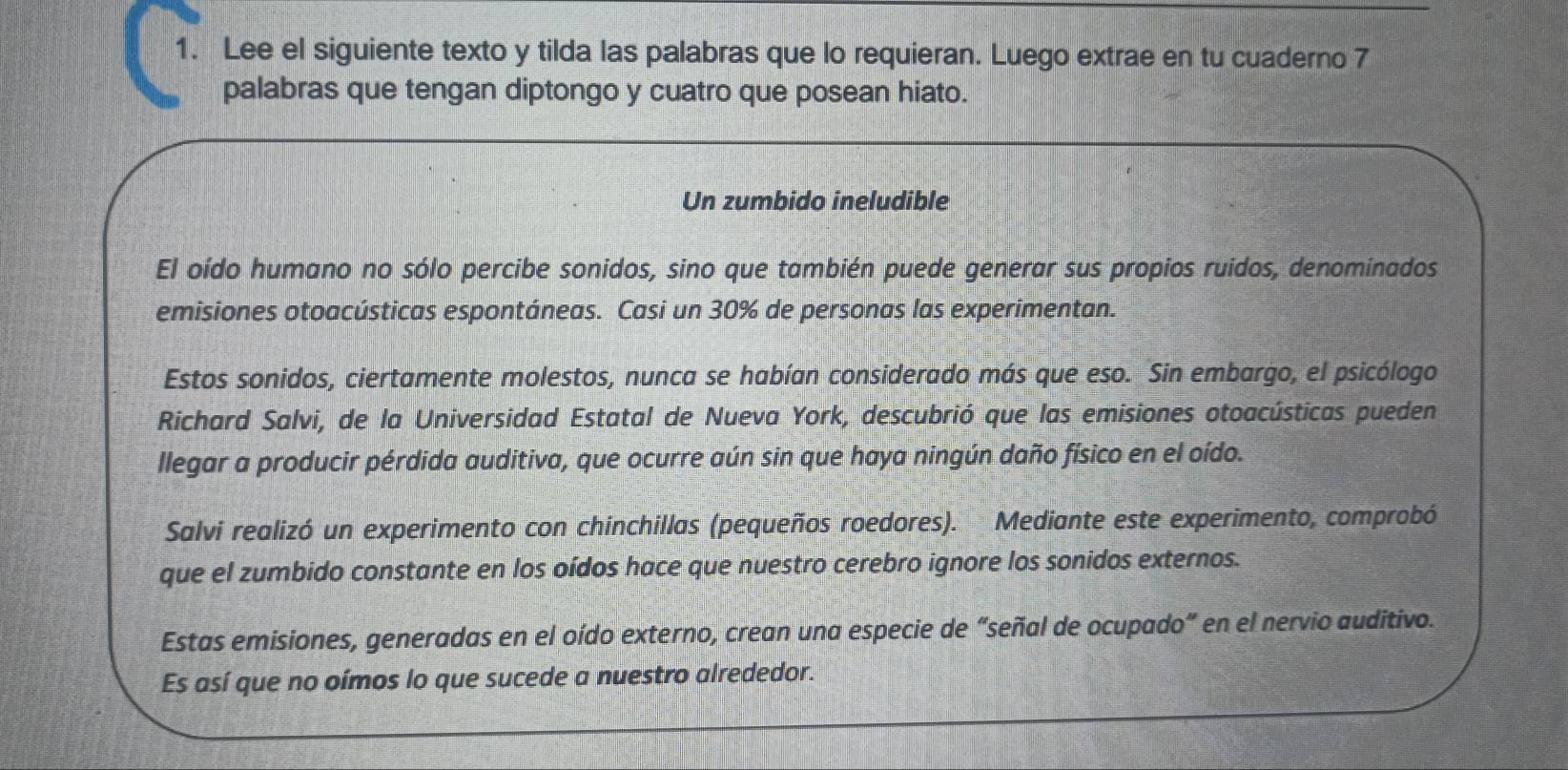 Lee el siguiente texto y tilda las palabras que lo requieran. Luego extrae en tu cuaderno 7 
palabras que tengan diptongo y cuatro que posean hiato. 
Un zumbido ineludible 
El oído humano no sólo percibe sonidos, sino que también puede generar sus propios ruidos, denominados 
emisiones otoacústicas espontáneas. Casi un 30% de personas las experimentan. 
Estos sonidos, ciertamente molestos, nunca se habían considerado más que eso. Sin embargo, el psicólogo 
Richard Salvi, de la Universidad Estatal de Nueva York, descubrió que las emisiones otoacústicas pueden 
llegar a producir pérdida auditiva, que ocurre aún sin que haya ningún daño físico en el oído. 
Salvi realizó un experimento con chinchillas (pequeños roedores). Mediante este experimento, comprobó 
que el zumbido constante en los oídos hace que nuestro cerebro ignore los sonidos externos. 
Estas emisiones, generadas en el oído externo, crean una especie de “señal de ocupado” en el nervio auditivo. 
Es así que no oímos lo que sucede a nuestro alrededor.