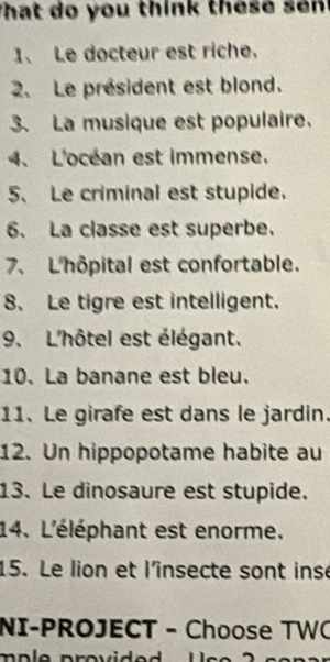 What do you think these sen 
1、 Le docteur est riche, 
2. Le président est blond. 
3. La musique est populaire. 
4、 L'océan est immense. 
5、 Le criminal est stupide. 
6. La classe est superbe. 
7. L'hôpital est confortable. 
8. Le tigre est intelligent. 
9. L'hôtel est élégant. 
10. La banane est bleu. 
11. Le girafe est dans le jardin. 
12. Un hippopotame habite au 
13. Le dinosaure est stupide. 
14. L'éléphant est enorme. 
15. Le lion et l'însecte sont insé 
NI-PROJECT - Choose TWC