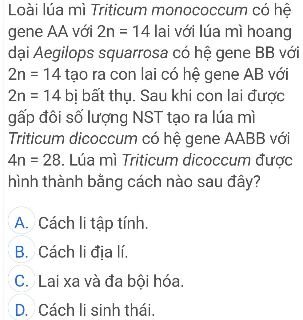 Loài lúa mì Triticum monococcum có hệ
gene AA với 2n=14 lai với lúa mì hoang
dại Aegilops squarrosa có hệ gene BB với
2n=14 tạo ra con lai có hệ gene AB với
2n=14 bị bất thụ. Sau khi con lai được
đấp đôi số lượng NST tạo ra lúa mì
Triticum dicoccum có hệ gene AABB với
4n=28. Lúa mì Triticum dicoccum được
hình thành bằng cách nào sau đây?
A. Cách li tập tính.
B. Cách li địa lí.
C. Lai xa và đa bội hóa.
D. Cách li sinh thái.