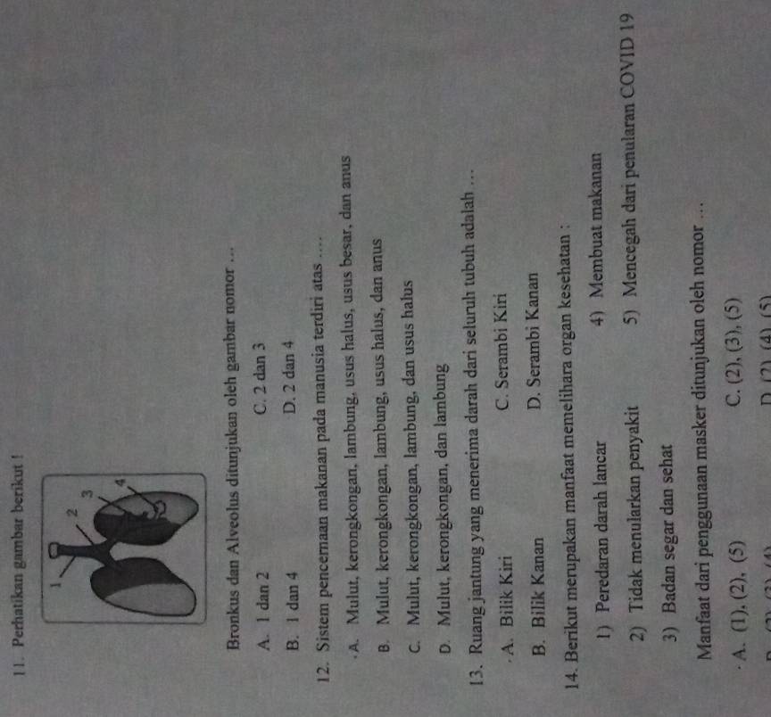 Perhatikan gambar berikut !
Bronkus dan Alveolus ditunjukan oleh gambar nomor ….
A. 1 dan 2 C. 2 dan 3
B. 1 dan 4 D. 2 dan 4
12. Sistem pencernaan makanan pada manusia terdiri atas ....
A. Mulut, kerongkongan, lambung, usus halus, usus besar, dan anus
B. Mulut, kerongkongan, lambung, usus halus, dan anus
C. Mulut, kerongkongan, lambung, dan usus halus
D. Mulut, kerongkongan, dan lambung
13. Ruang jantung yang menerima darah dari seluruh tubuh adalah ...
A. Bilik Kiri C. Serambi Kiri
B. Bilik Kanan D. Serambi Kanan
14. Berikut merupakan manfaat memelihara organ kesehatan :
1) Peredaran darah lancar 4) Membuat makanan
2) Tidak menularkan penyakit 5) Mencegah dari penularan COVID 19
3) Badan segar dan sehat
Manfaat dari penggunaan masker ditunjukan oleh nomor ..
A. (1), (2), (5) C. (2), (3), (5)
2) (4) (5)