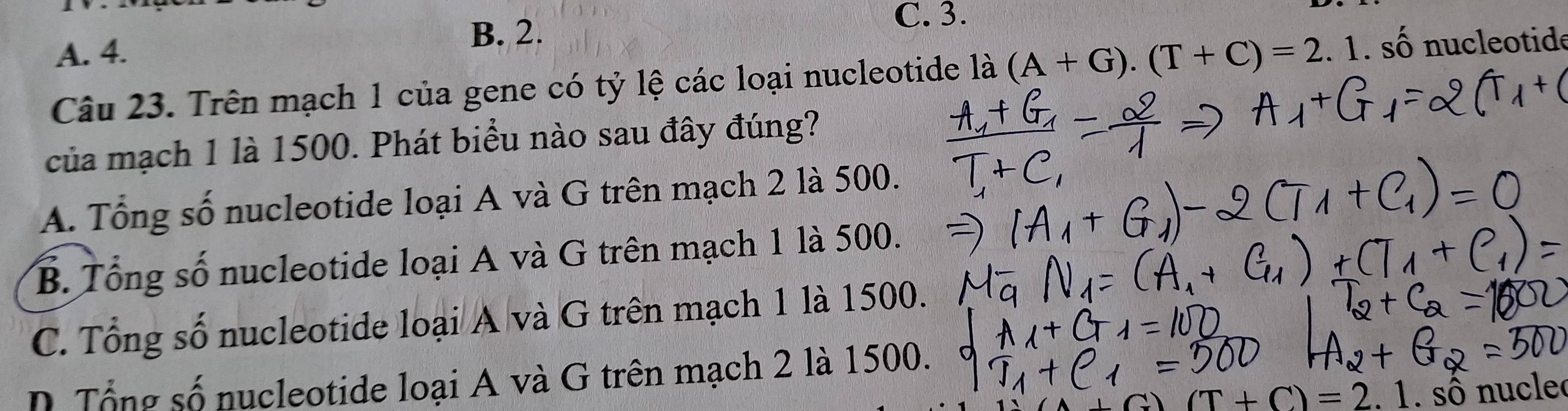 B. 2.
C. 3.
A. 4.
Câu 23. Trên mạch 1 của gene có tỷ lệ các loại nucleotide là (A+G).(T+C)=2.1.s ố nucleotide
của mạch 1 là 1500. Phát biểu nào sau đây đúng?
A. Tổng số nucleotide loại A và G trên mạch 2 là 500.
B. Tổng số nucleotide loại A và G trên mạch 1 là 500.
C. Tổng số nucleotide loại A và G trên mạch 1 là 1500.
D Tổng số nucleotide loại A và G trên mạch 2 là 1500.
(T+C)=2. 1. số nucle