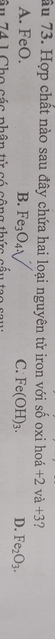 âu 73. Hợp chất nào sau đây chứa hai loại nguyên tử iron với số oxi hoá +2va+3 ?
A. FeO. B. Fe_3O_4. C. Fe(OH)_3. D. Fe_2O_3. 
ầu 74 1 Cho các phân tử có công thức cấu