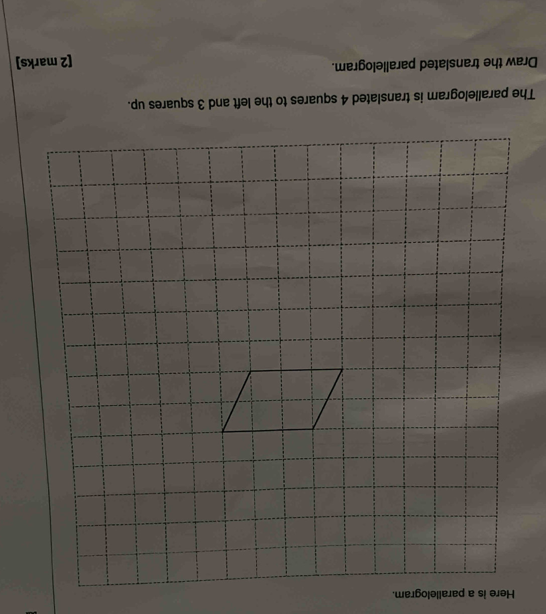 Draw the translated parallelogram. 
[2 marks]