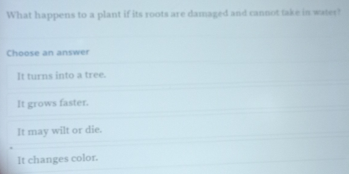 What happens to a plant if its roots are damaged and cannot take in water?
Choose an answer
It turns into a tree.
It grows faster.
It may wilt or die.
It changes color.