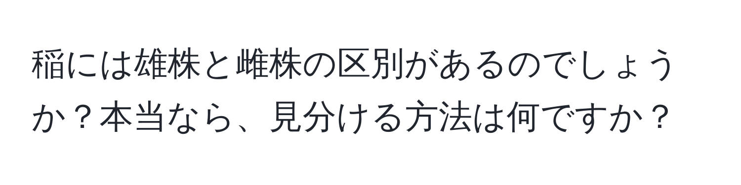 稲には雄株と雌株の区別があるのでしょうか？本当なら、見分ける方法は何ですか？