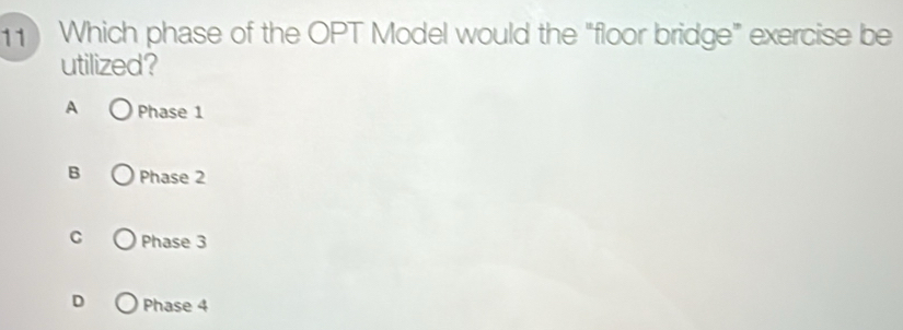 Solved: Which phase of the OPT Model would the 