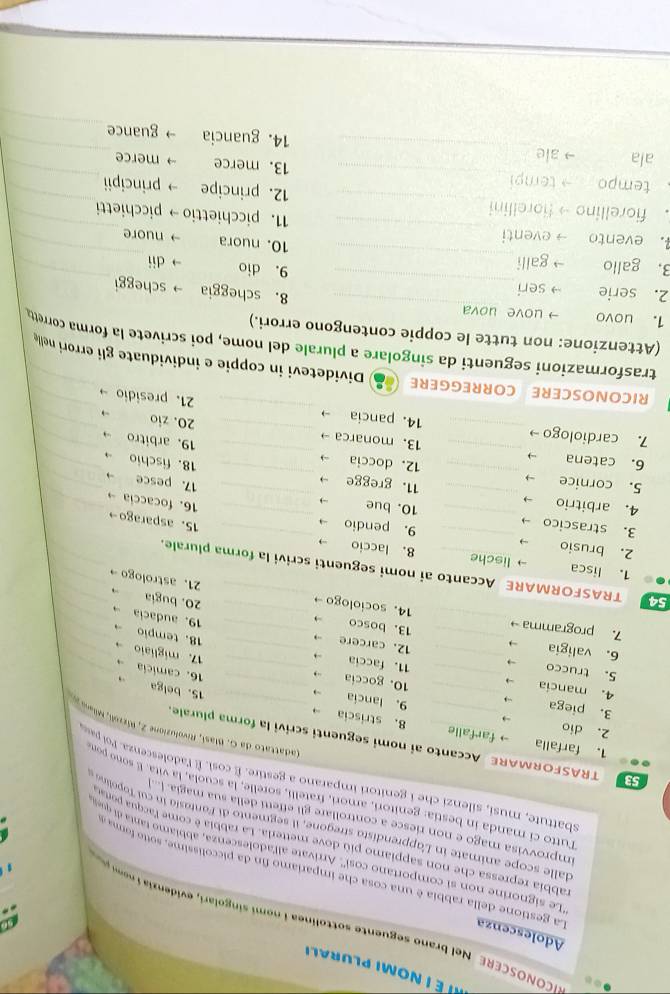 é  i  n o  mi p lurali
NICONOSCERE   Ne  brano seguente s  to in  nomi singolari, evide zi e  
La gestione della rabbia é una cosa che impariamo fin da piccolíssime, sotto fama Adolescenza
'Le signorine non si comportano cosi''. Arrivate all'adolescenza, abbiamo tanta d  que
rabbia repressa che non sappiamo più dove metterla. La rabbia é come l'acqua perar
dalle scope animate in L'apprendista stregone, il segmento di Fantasia in cui Topolina
improvvisa mago e non riesce a controllare gli effetti della sua magia. (|...
Tutto ci manda in bestía: genitori, amori, fratelli, sorelle, la scuola, la vita. El sono por
sbattute, musi, silenzi che i genitori imparano a gestire. É cosi. É l'adolescenza. Poi pa
TRASFORMARE Accanto ai nomi seguenti scrivi la forma plurale.
1. farfalla farfalle 8. striscia →
(adattato da O. Basí, Rivoluzione 2, Wzzoli, Milana 2
2. dio → 9. lancia
_
3. piega 10. goccia →_
15. belga 16. camicia
.,
4. mancia → _11. faccia →_
5. trucco → _12. carcere →_
17. migliaio 18. tempio __
6. valigia → _13. bosco_
7. programma →_ _14. sociologo →__
19. audacia _
20. bugia_
_
21. astrologo →_
54 TRASFORMARE Accanto ai nomi seguenti scrivi la forma plurale.
1. lisca lische 8. laccio →
2. brusio
9. pendio →
15. asparago→
3. strascico → __10. bue  →__
16. focaccia →
4. arbitrio _11. gregge → _18. fischio_
17. pesce
5. cornice _12. doccia _19. arbitro _
→
6. catena __20. zio__
13. monarca →
7. cardiologo → _14. pancia __21. presidio __
RICONOSCERE CORREGGERE Dividetevi in coppie e individuate gli errori nelle
trasformazioni seguenti da singolare a plurale del nome, poi scrivete la forma corrett
(Attenzione: non tutte le coppie contengono errori.)
_
1. uovo → uove μova _8. scheggia scheggi
2. serie seri_ 9. dio
dii
3. gallo galli_ 10. nuora nuore
. evento → eventi _11. picchiettio → picchietti
fiorellino → fiorellini_ 12. principe principii_
tempo → tempi_ 13. merce merce_
_
ala → ale _14. guancia guance_