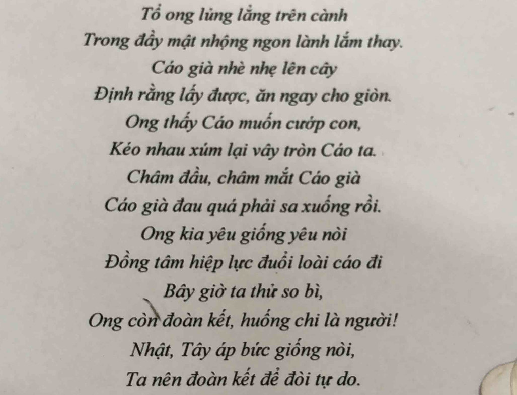 Tổ ong lủng lằng trên cành 
Trong đầy mật nhộng ngon lành lắm thay. 
Cáo già nhè nhẹ lên cây 
Định rằng lấy được, ăn ngay cho giòn. 
Ong thấy Cáo muốn cướp con, 
Kéo nhau xúm lại vây tròn Cáo ta. 
Châm đầu, châm mắt Cáo già 
Cáo già đau quá phải sa xuống rồi. 
Ong kia yêu giống yêu nòi 
Đồng tâm hiệp lực đuổi loài cáo đi 
Bây giờ ta thử so bì, 
Ong còn đoàn kết, huống chi là người! 
Nhật, Tây áp bức giống nòi, 
Ta nên đoàn kết để đòi tự do.