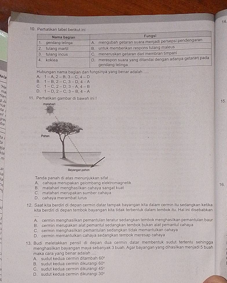 Hubungan nama bagian dan fungsinya yang benar adalah ....
tela A. 1 - A, 2 - B,3 - C, 4 - D
B. 1 - B, 2 - C, 3 - D, 4 - A
"He C. 1 - C,2 - D,3 - A, 4 - B
ma D. 1 - D, 2 - C, 3 - B, 4 - A
Van 11. Perhatikan gambar di bawah ini ! 15.
g Ja
nuk
ta :
sil 
grel
ba
la
a
ja
kte
m
ar
Đa
la
Tanda panah di atas menunjukkan sifat ....
A. cahaya merupakan gelombang elektromagnetik 16.
B. matahari menghasilkan cahaya sangat kuat
no
C. matahari merupakan sumber cahaya
D. cahaya merambat lurus
12. Saat kita berdiri di depan cermin datar tampak bayangan kita dalam cermin itu sedangkan ketika
kita berdiri di depan tembok bayangan kita tidak terbentuk dalam tembok itu. Hal ini disebabkan
A. cermin menghasilkan pemantulan teratur sedangkan tembok menghasilkan pemantulan baur
B. cermin merupakan alat pemantul sedangkan tembok bukan alat pemantul cahaya
C. cermin menghasilkan pemantulan sedangkan tidak memantulkan cahaya
D. cermin memantulkan cahaya sedangkan tembok meresap cahaya
13. Budi meletakkan pensil di depan dua cermin datar membentuk sudut tertentu sehingga
menghasilkan bayangan maya sebanyak 3 buah. Agar bayangan yang dihasilkan menjadi 5 buah
maka cara yang benar adalah ....
A. sudut kedua cermin ditambah 60°
B. sudut kedua cermin dikurangi 60°
C. sudut kedua cermin dikurangi 45°
D. sudut kedua cermin dikurangi 30°