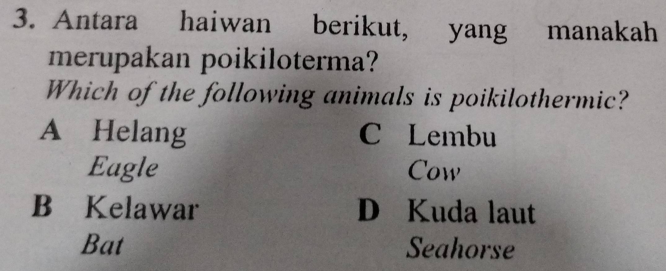 Antara haiwan berikut, yang manakah
merupakan poikiloterma?
Which of the following animals is poikilothermic?
A Helang C Lembu
Eagle Cow
B Kelawar D Kuda laut
Bat Seahorse