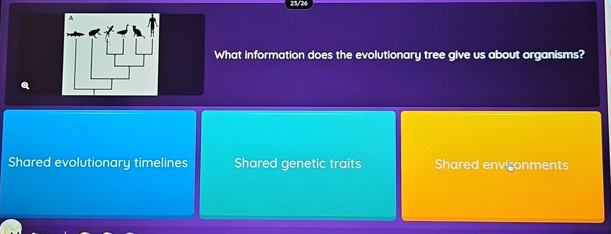 23/26
A
What information does the evolutionary tree give us about organisms?
Q
Shared evolutionary timelines Shared genetic traits Shared environments