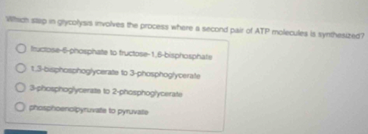 Which stap in grycolysis involves the process where a second pair of ATP molecules is synthesized?
Iructose -6 -phosphate to fructose -1, 6 -bisphosphate
1. 3 -bisphosphoglycerate to 3 -phosphoglycerate
3-phosphoglycerate to 2 -phosphoglycerate
phosphoenoipyruvate to pyruvate