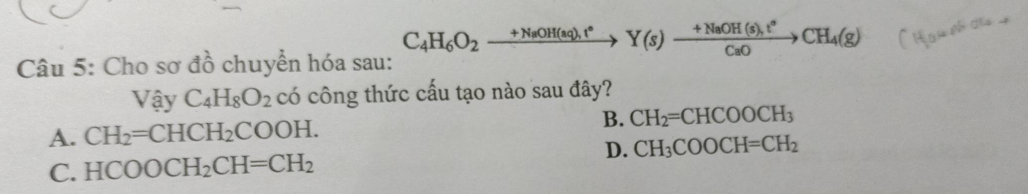 C_4H_6O_2xrightarrow +NaOH(aq),t^*Y(s)xrightarrow +NaOH(s),t^*CaO
Câu 5: Cho sơ đồ chuyển hóa sau:
V_4^((wedge)yC_4)H_8O_2 có công thức cấu tạo nào sau đây?
A. CH_2=CHCH_2COOH. B. CH_2=CHCOOCH_3
D. CH_3COOCH=CH_2
C. HCOOCH_2CH=CH_2