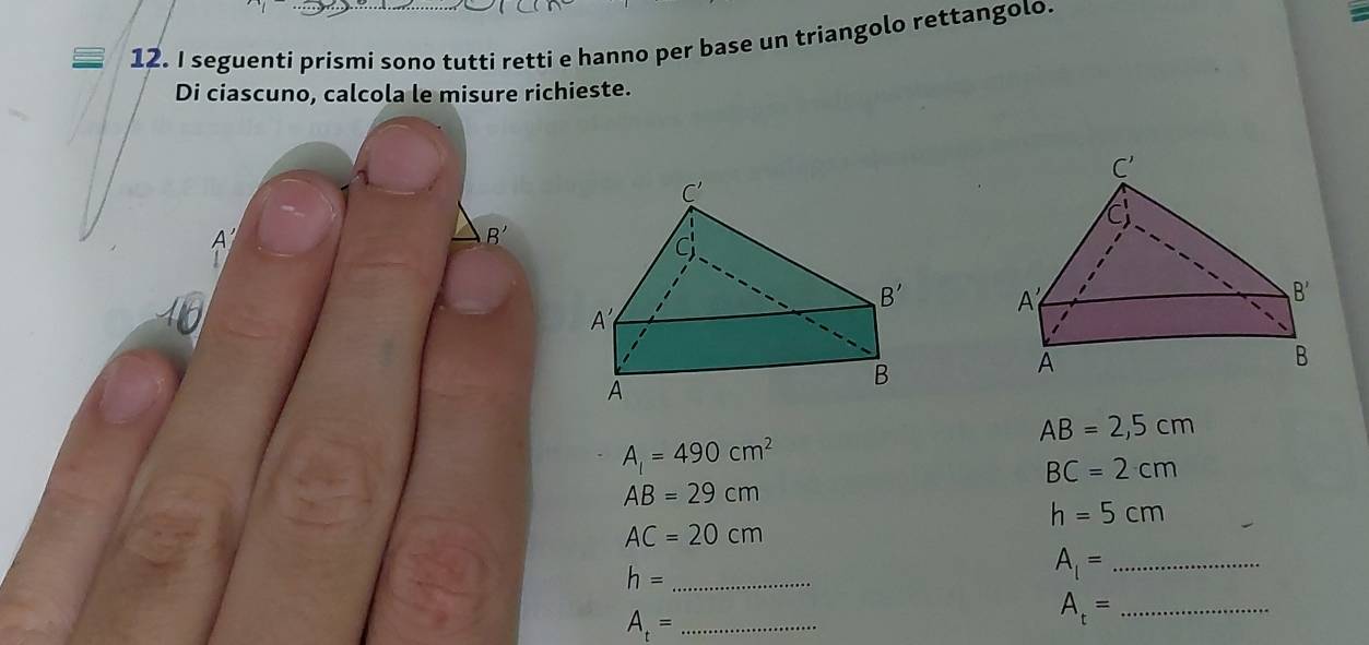 seguenti prismi sono tutti retti e hanno per base un triangolo rettangolo.
Di ciascuno, calcola le misure richieste.
B'

AB=2,5cm
A_1=490cm^2
BC=2cm
AB=29cm
h=5cm
AC=20cm
h= _
_ A_1=
A_t= _
_ A_t=