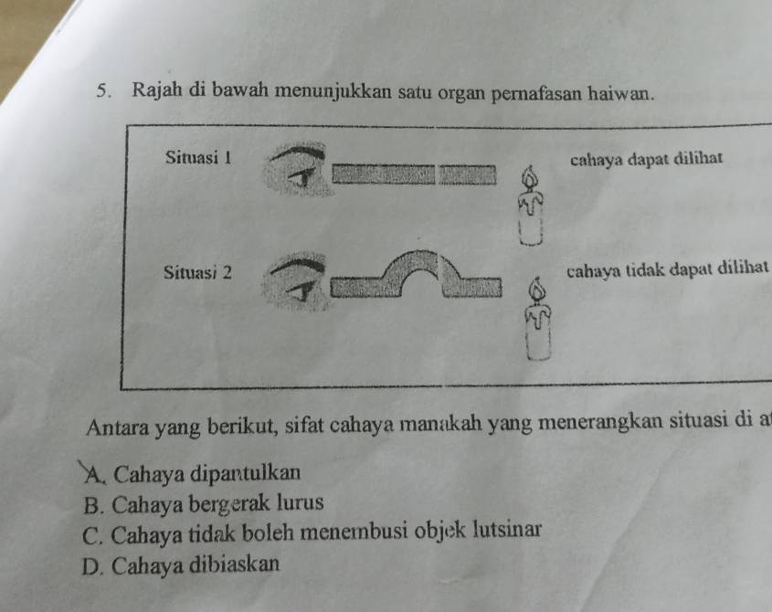 Rajah di bawah menunjukkan satu organ pernafasan haiwan.
dilíhat
dapat dílihat
Antara yang berikut, sifat cahaya manakah yang menerangkan situasi di a
A. Cahaya dipantulkan
B. Cahaya bergerak lurus
C. Cahaya tidak boleh menembusi objek lutsinar
D. Cahaya dibiaskan