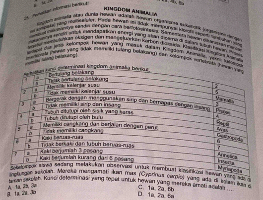 Pehatikan informasi berikut!
L8.4b. 6b
KINGDOM ANIMALIA
Kingdom animalia atau dunia hewan adalah hewan organisme eukariotik (organisme dengan
sel kompleks) yang multiseluler. Pada hewan ini tidak mempunyal klorofil seperti tumbuhan yand
menbuat makanannya sendiri dengan cara berfotosintesis. Sementara hewan diharuskan mencar
makanannys sendiri untuk mendapatkan energi yang akan dicema di dalam tubuḥ hewan. Prose
tersebut membutuhkan oksigen dan menge|uarkan karbon dioksida. Klasifikasi Kingđom Animalia
terdapat dua jenis kelompok hewan yang masuk dalam Kingdom Animalia, yakni: k
liki tulang belakang).
vereorata (hewan yang tidak memiliki tulang belakang) dan kelompok vert
a d
g ada di kolam ikan d
taman sekolah yang tepat untuk hewan yang mereka amati adalah ...
A. 1a, 2b, 3a
C. 1a, 2a, 6b
B. 1a, 2a, 3b
D. 1a, 2a, 6a