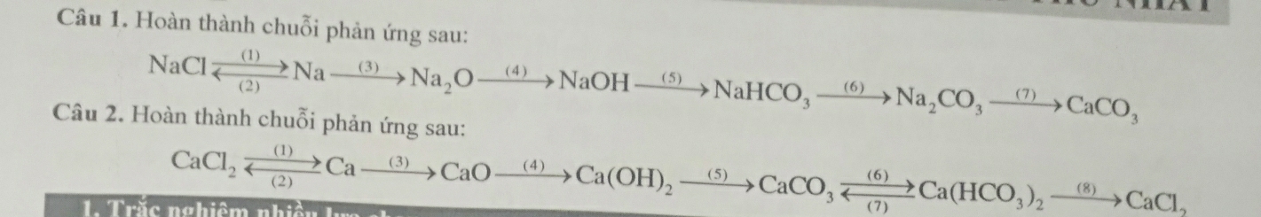 Hoàn thành chuỗi phản ứng sau:
NaClxrightarrow (1)Naxrightarrow (3)Na_2Oxrightarrow (4)NaOHxrightarrow (5)NaHCO_3xrightarrow (6)Na_2CO_3xrightarrow (7)CaCO_3
Câu 2. Hoàn thành chuỗi phản ứng sau:
CaCl_2xrightarrow (1)Caxrightarrow (3)CaOxrightarrow (4)Ca(OH)_2xrightarrow (5)CaCO_3xrightarrow (6)Ca(HCO_3)_2xrightarrow (8)CaCl_2
1. Trăc nghiêm nhiên kr