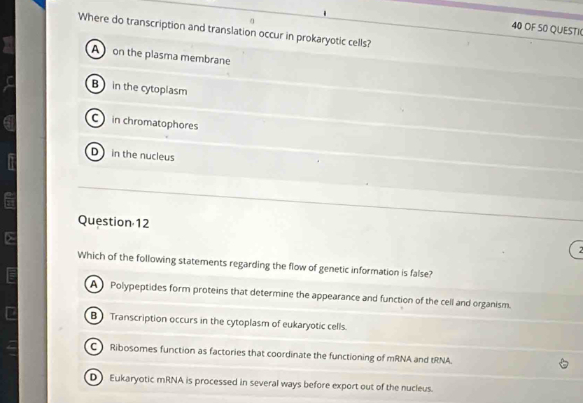 OF 50 QUESTI(
Where do transcription and translation occur in prokaryotic cells?
A on the plasma membrane
B in the cytoplasm
C in chromatophores
Din the nucleus
Question 12
Which of the following statements regarding the flow of genetic information is false?
A Polypeptides form proteins that determine the appearance and function of the cell and organism.
B Transcription occurs in the cytoplasm of eukaryotic cells.
C) Ribosomes function as factories that coordinate the functioning of mRNA and tRNA.
DEukaryotic mRNA is processed in several ways before export out of the nucleus.