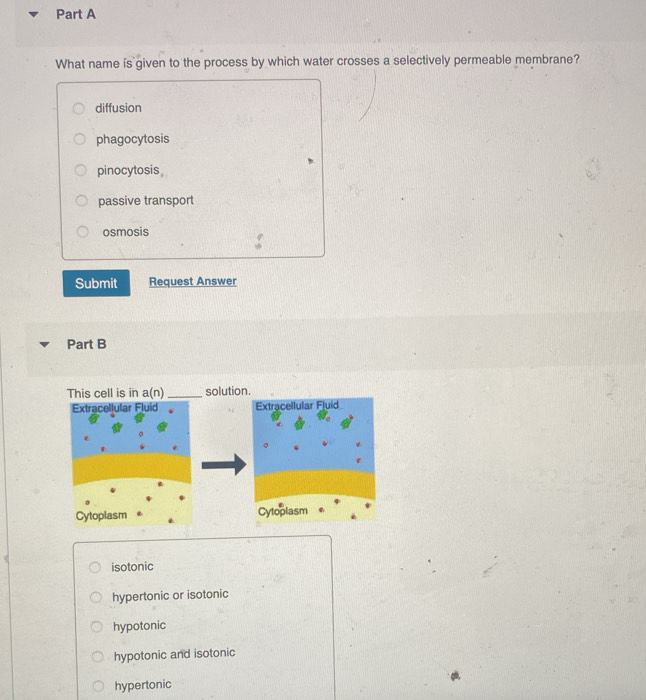 Solved: What name is given to the process by which water crosses a ...