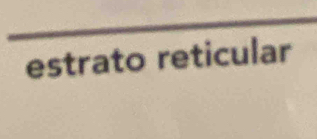 estrato reticular