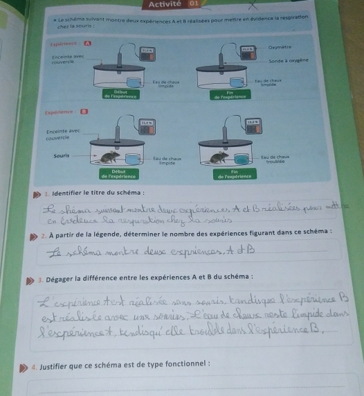 Activité 01 
# Le schéma suivant montre deux expériences A et B réalisées pour mettre en évidence la respiration 
chez la souris . 
ExpérienceOxymètre 
couverciy Enceinte ave 
Sonde à oxygène 
Iwo de chaux 
limpide 
Fin 
de lexpérience 
Expérience 
I1o n 11 
couvercile Enceinte avec 
Souris fau de chœux 
Eau de chaux limpide troubliée 
de l'expérience Début de l'expérience Fin 
Identifier le titre du schéma : 
2. À partir de la légende, déterminer le nombre des expériences figurant dans ce schéma : 
3. Dégager la différence entre les expériences A et B du schéma ; 
4. Justifier que ce schéma est de type fonctionnel : 
_
