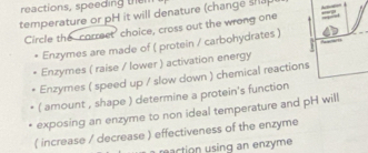 reactions, speeding the 
temperature or pH it will denature (change sap 
Circle the correct' choice, cross out the wrong one _ 
1 
Enzymes are made of ( protein / carbohydrates ) 
Enzymes ( raise / lower ) activation energy 
Enzymes ( speed up / slow down ) chemical reactions 
( amount , shape ) determine a protein's function 
exposing an enzyme to non ideal temperature and pH will 
( increase / decrease ) effectiveness of the enzyme 
action using an enzyme