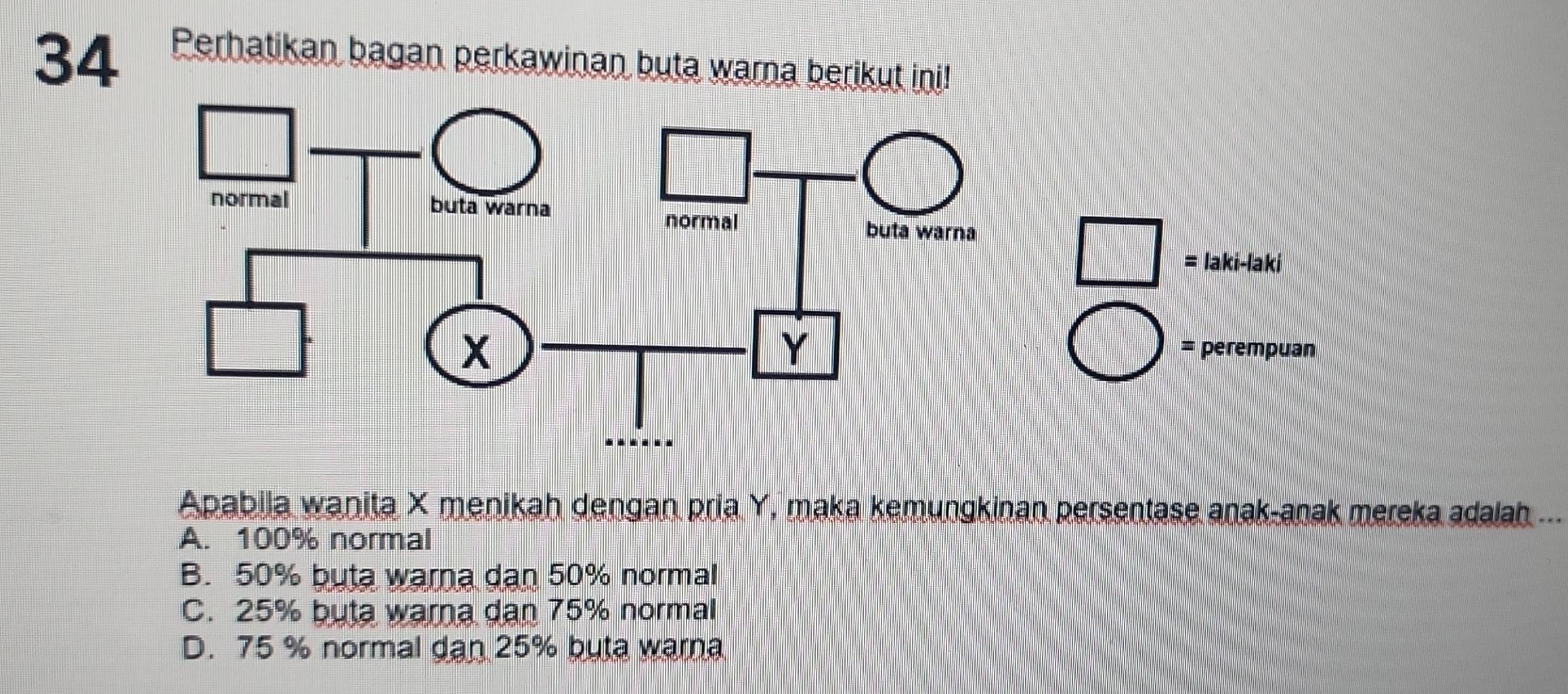 Perhatikan bagan perkawinan buta warna berikut ini!
= laki-laki
= perempuan
Apabila wanita X menikah dengan pria Y, maka kemungkinan persentase anak-anak mereka adalah ...
A. 100% normal
B. 50% buta warna dan 50% normal
C. 25% buta warna dan 75% normal
D. 75 % normal dan 25% buta warna