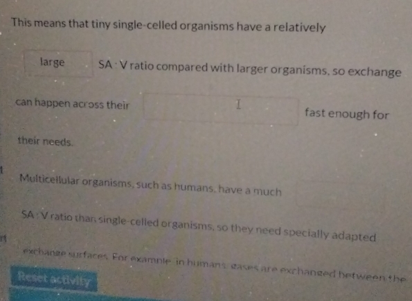 This means that tiny single-celled organisms have a relatively 
large SA : V ratio compared with larger organisms, so exchange 
can happen across their fast enough for 
their needs. 
Multicellular organisms, such as humans, have a much 
SA :V ratio than single-celled organisms, so they need specially adapted 
exchange surfaces. For example in humans, gases are exchanged between the 
Reset activity