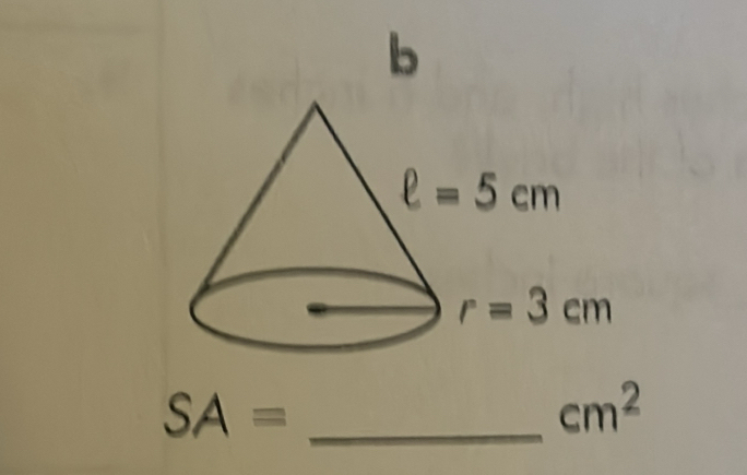 SA= _
cm^2