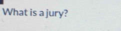 What is a jury?