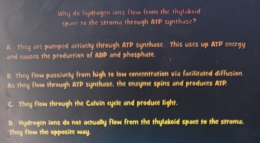 Why do hydrogen ions flow from the thylakoid
space to the stroma through ATP synthase?
A. They are pumped actively through ATP synthase. This uses up ATP energy
and causes the production of ADP and phosphate.
B. They flow passively from high to low concentration via facilitated diffusion.
As they flow through ATP synthase, the enzyme spins and produces ATP.
C. They flow through the Calvin cycle and produce light.
D. Hydrogen ions do not actually flow from the thylakoid space to the stroma.
They flow the opposite way.