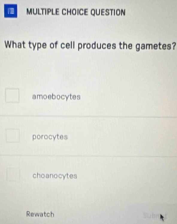 QUESTION
What type of cell produces the gametes?
amoebocytes
porocytes
choanocytes
Rewatch